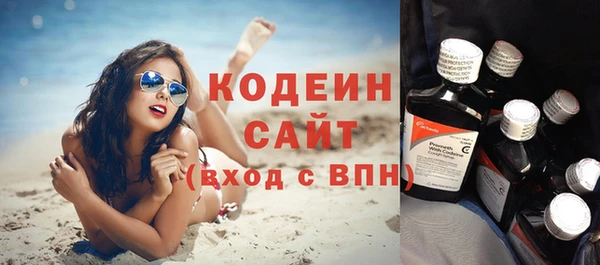 прущий лед Бородино