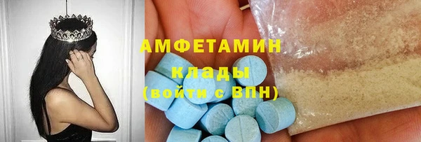 прущий лед Бородино