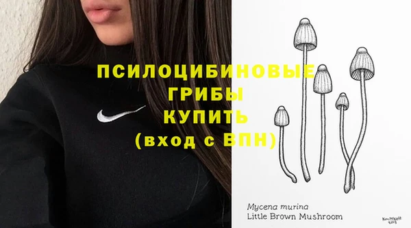 прущий лед Бородино