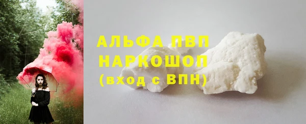 прущий лед Бородино