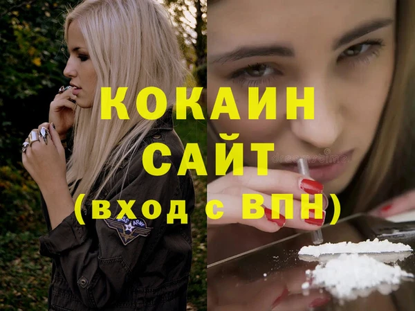 прущий лед Бородино
