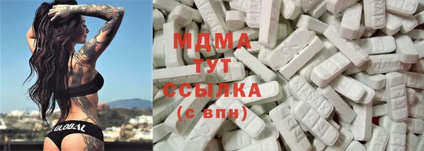 индика Инта