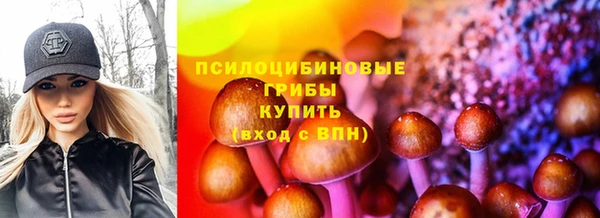прущий лед Бородино